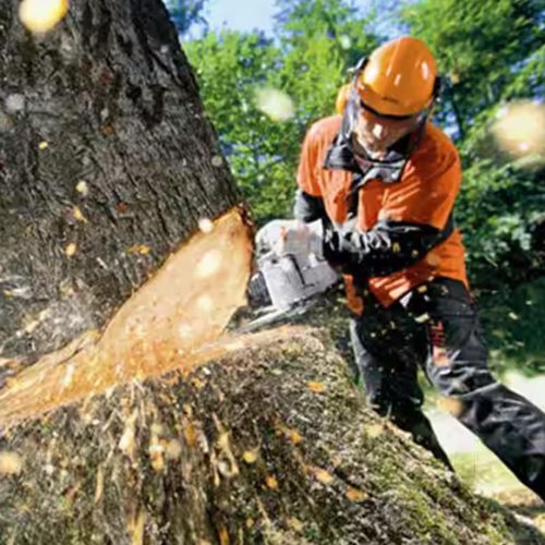 WhatsApp Image 2025-07-02 at 4.05.13 PM WhatsApp Image 2025-07-02 at 4.05.13 PM