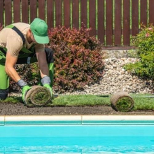 WhatsApp Image 2025-07-02 at 4.07.12 PM WhatsApp Image 2025-07-02 at 4.07.12 PM